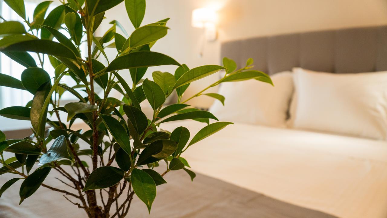 Costa Domus Blue Luxury Apartments Nikiti  Exteriör bild